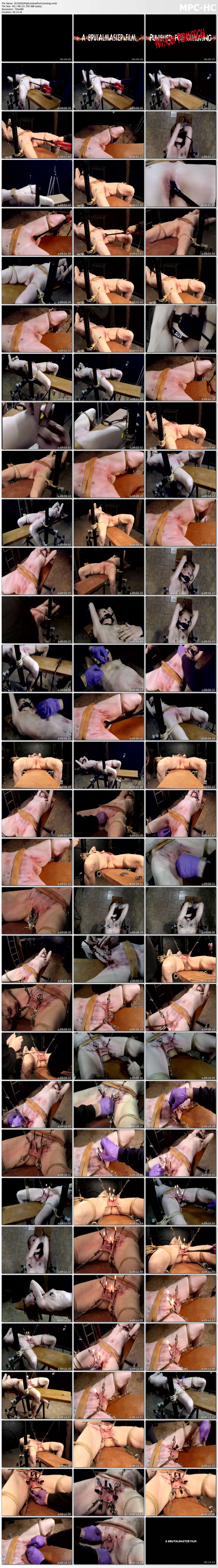 20150202 Pig Punished For Cumming rmvb thumbs