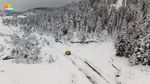 51800283_4760450.jpg