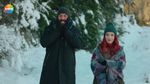 51802057_9200872.jpg