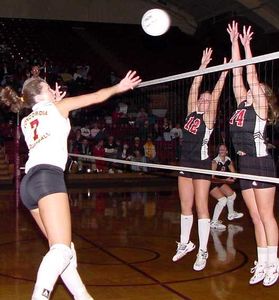 Volley Ball Girls Candids - 1106 PICS-t7dc56dsju.jpg